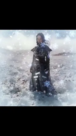 Winter Snow 