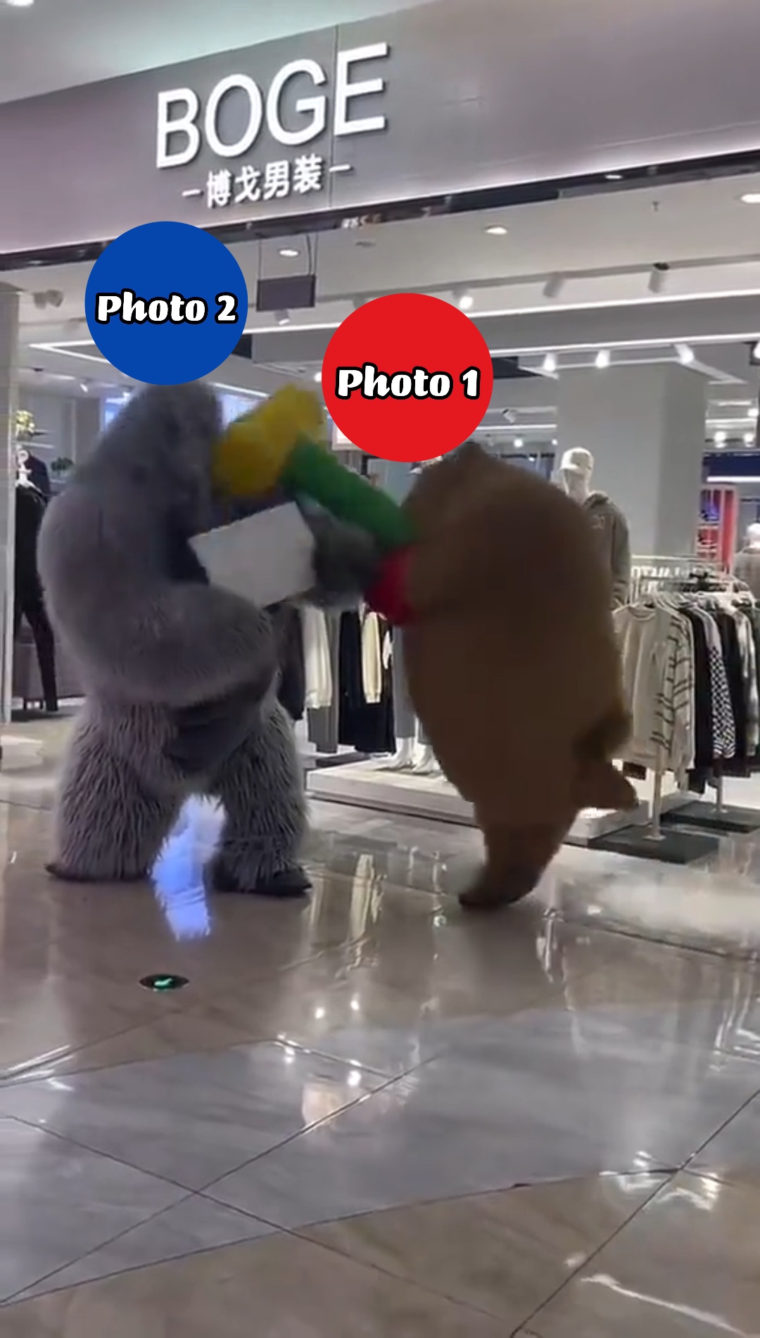 곰 때리기 고릴라