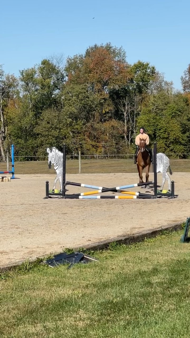 Lazy slo-mo