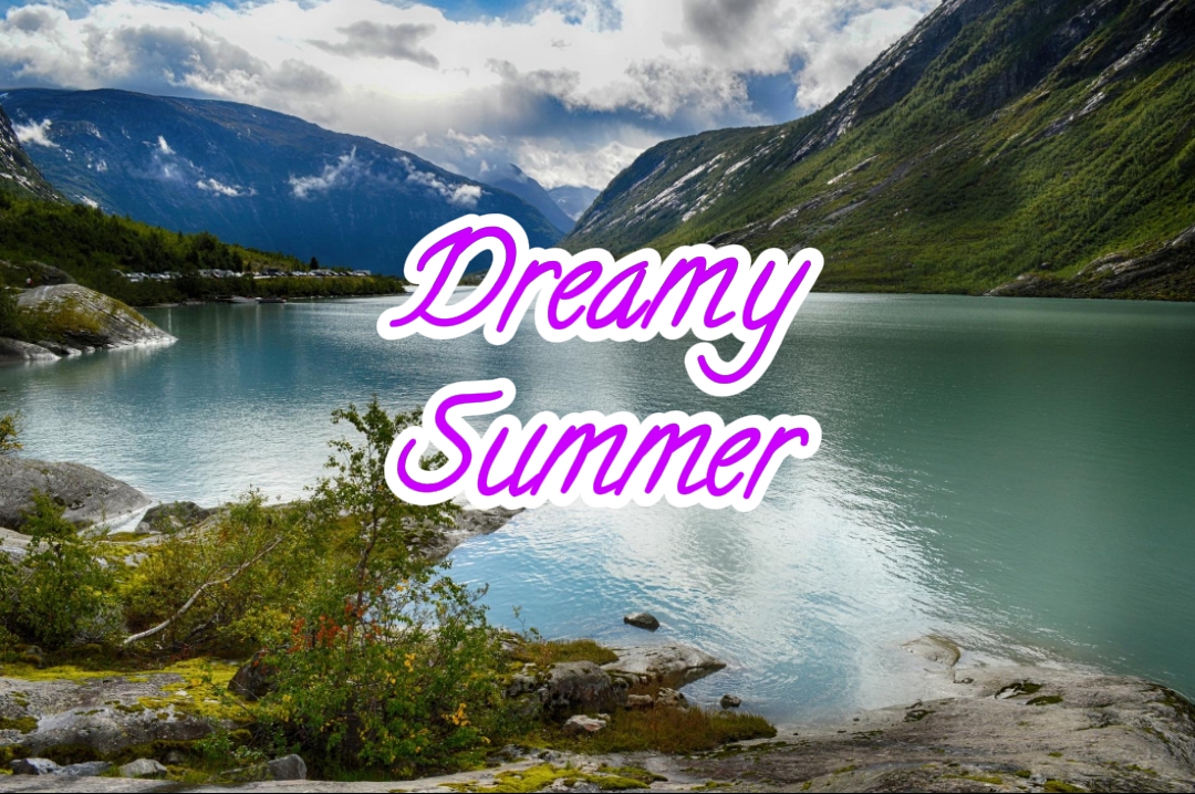 Dreamy Summer 2024