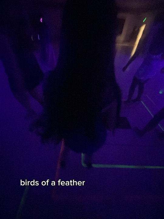 oiseaux d'une plume