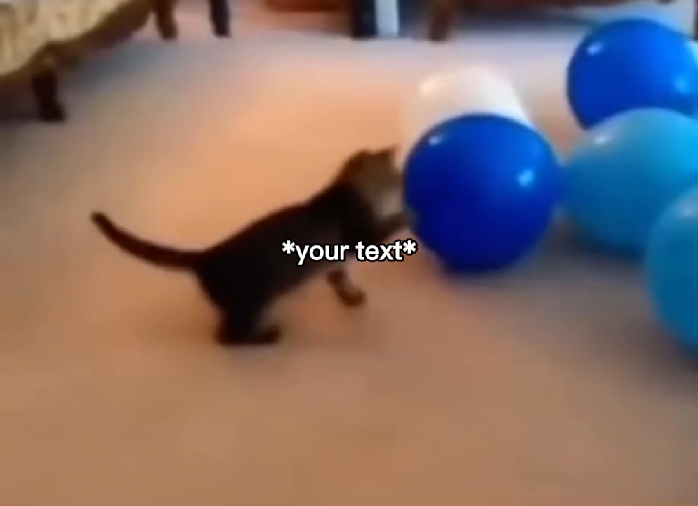 Meme de gato pop
