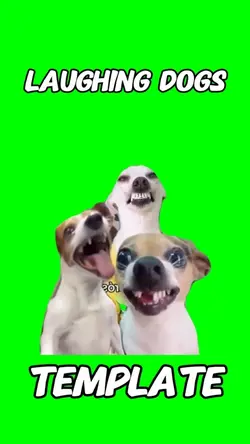 Dog Laughing