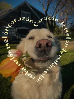 Corazón de Melón