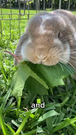 I am always hungry π€€