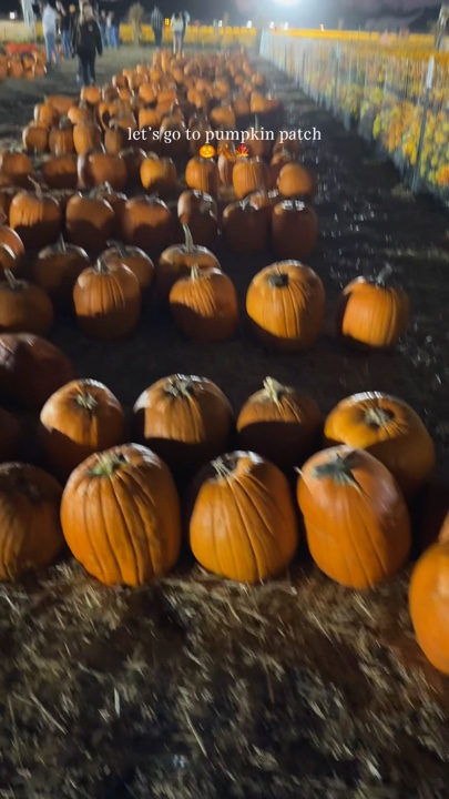 Patc De Calabaza