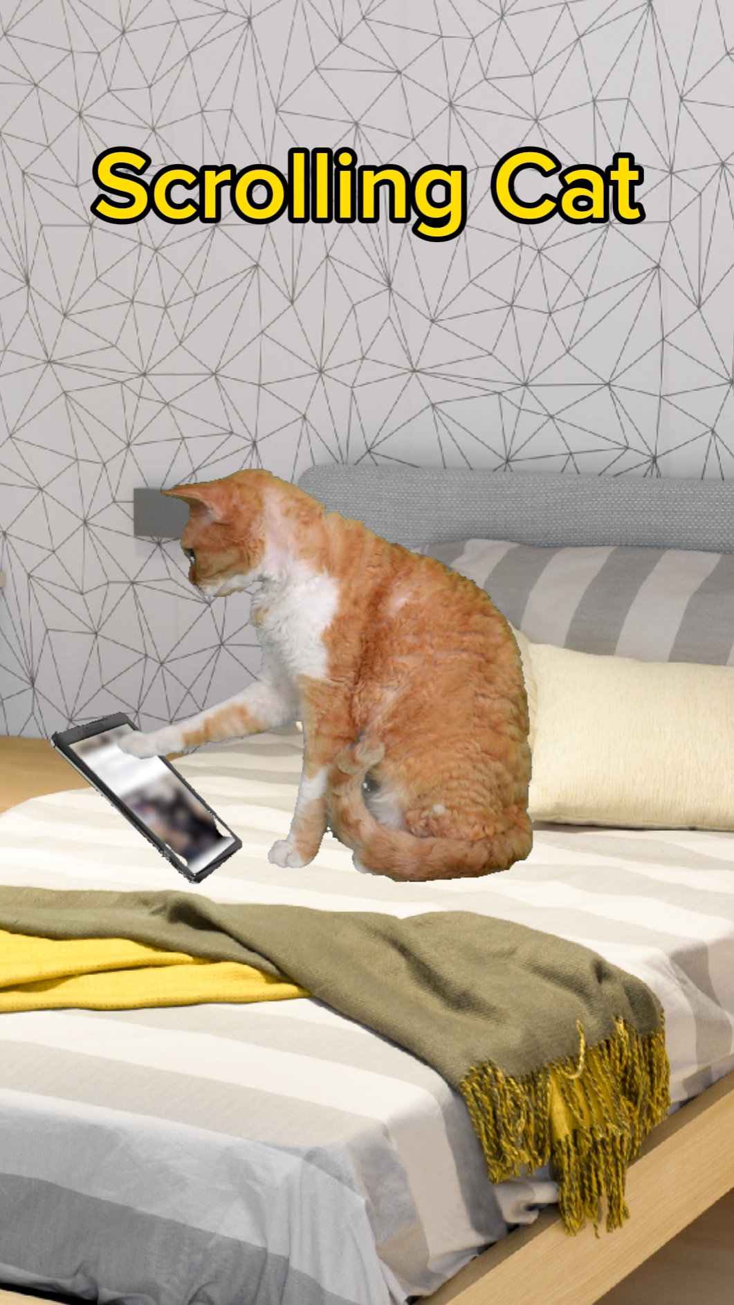 Gato desplazándose 