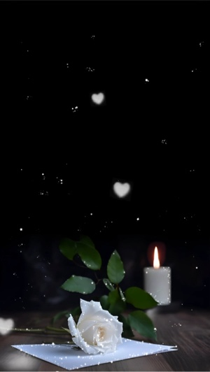 리커도 