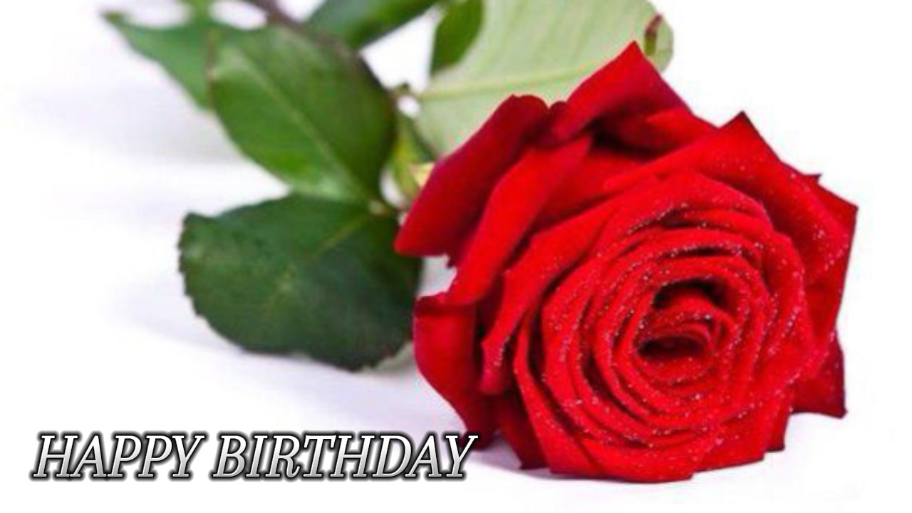 Happy birthday 