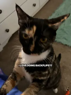 <33