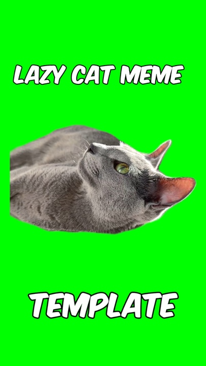meme kucing malas 