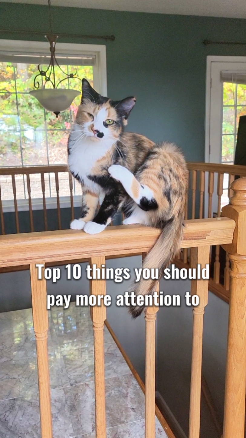 top 10 things 