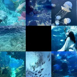 Aquacore