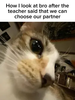 Real