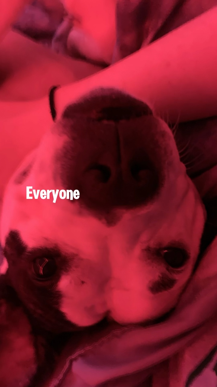 BOO!