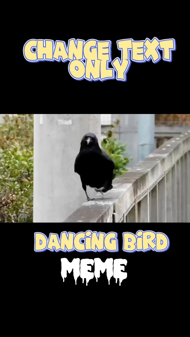 Meme Dans Eden Kuş
