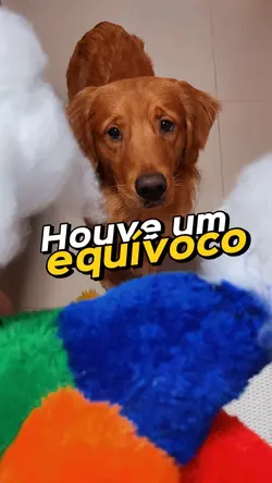 Meme Equívoco