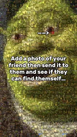 Shrexy