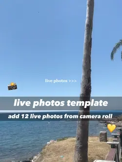 Live Photos >>> 