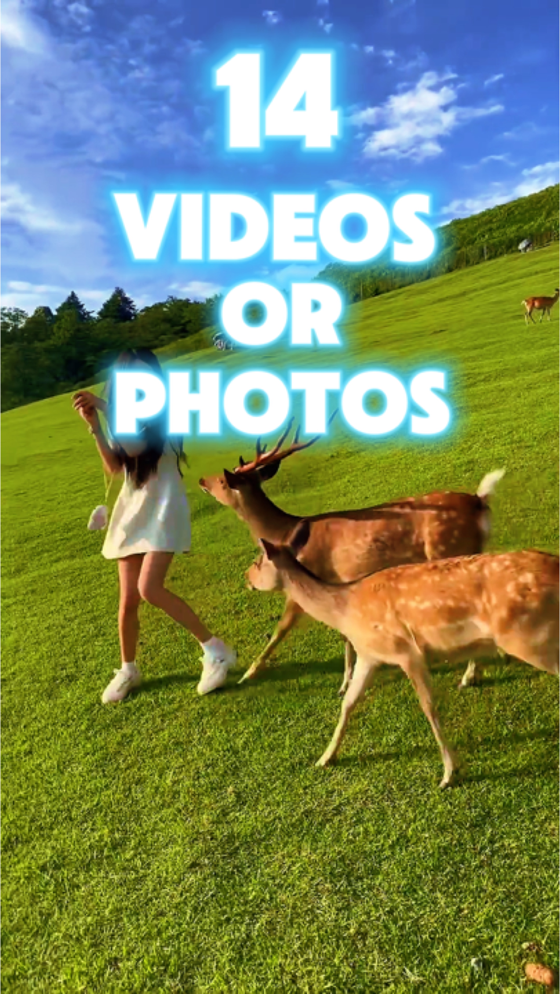 14 video or photo 
