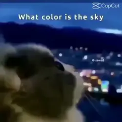 😂😭😂😂
