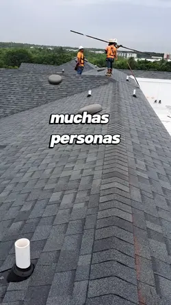 te la recomiendo