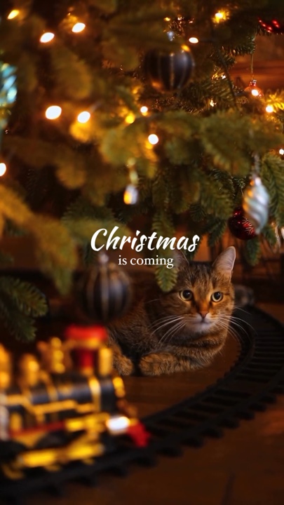 Feliz Natal