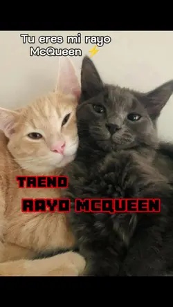 Rayo McQueen 