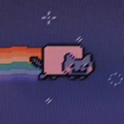 Nyan Cat edit