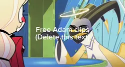 Adam clips