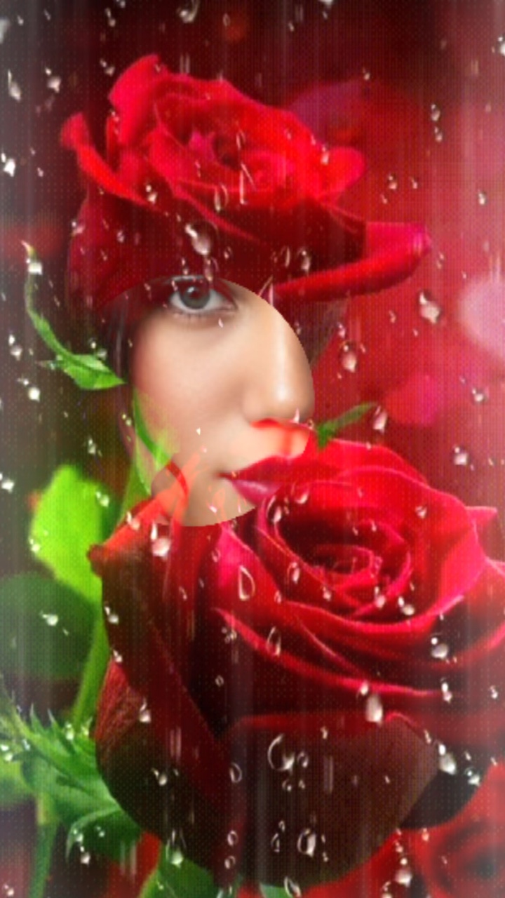 Rose Photo Aesthetic