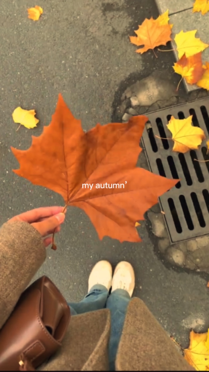 my autumn🍁