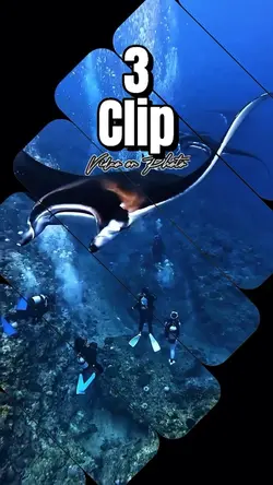 3 Clip Video/Photo