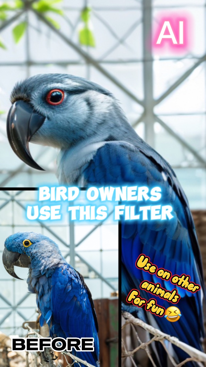 Filtre à oiseaux AI 