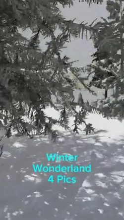 Winter Wonderland