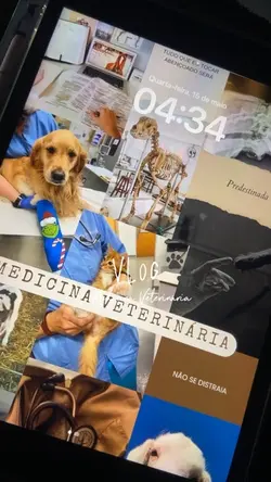 Vlog Medicina Vet