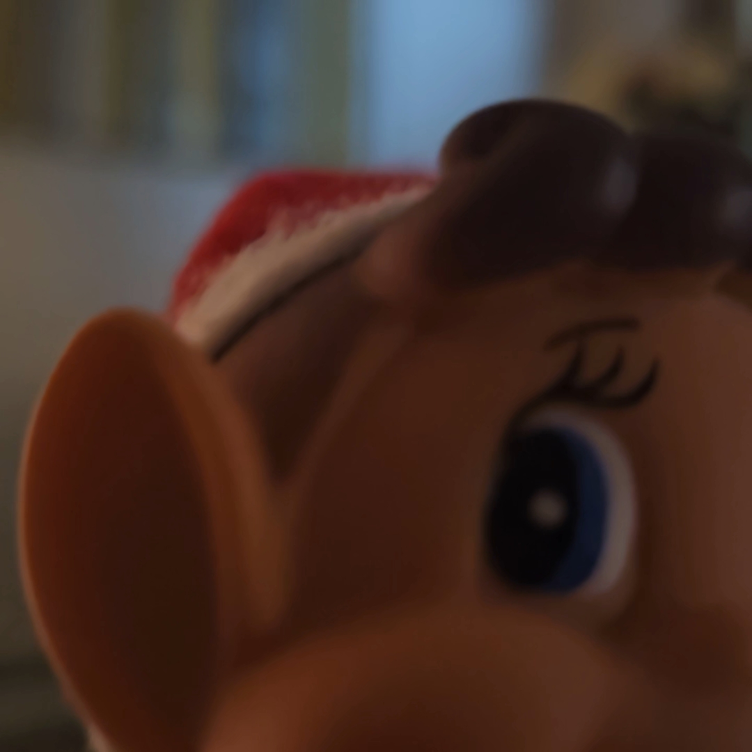 Elf On The Shelf!