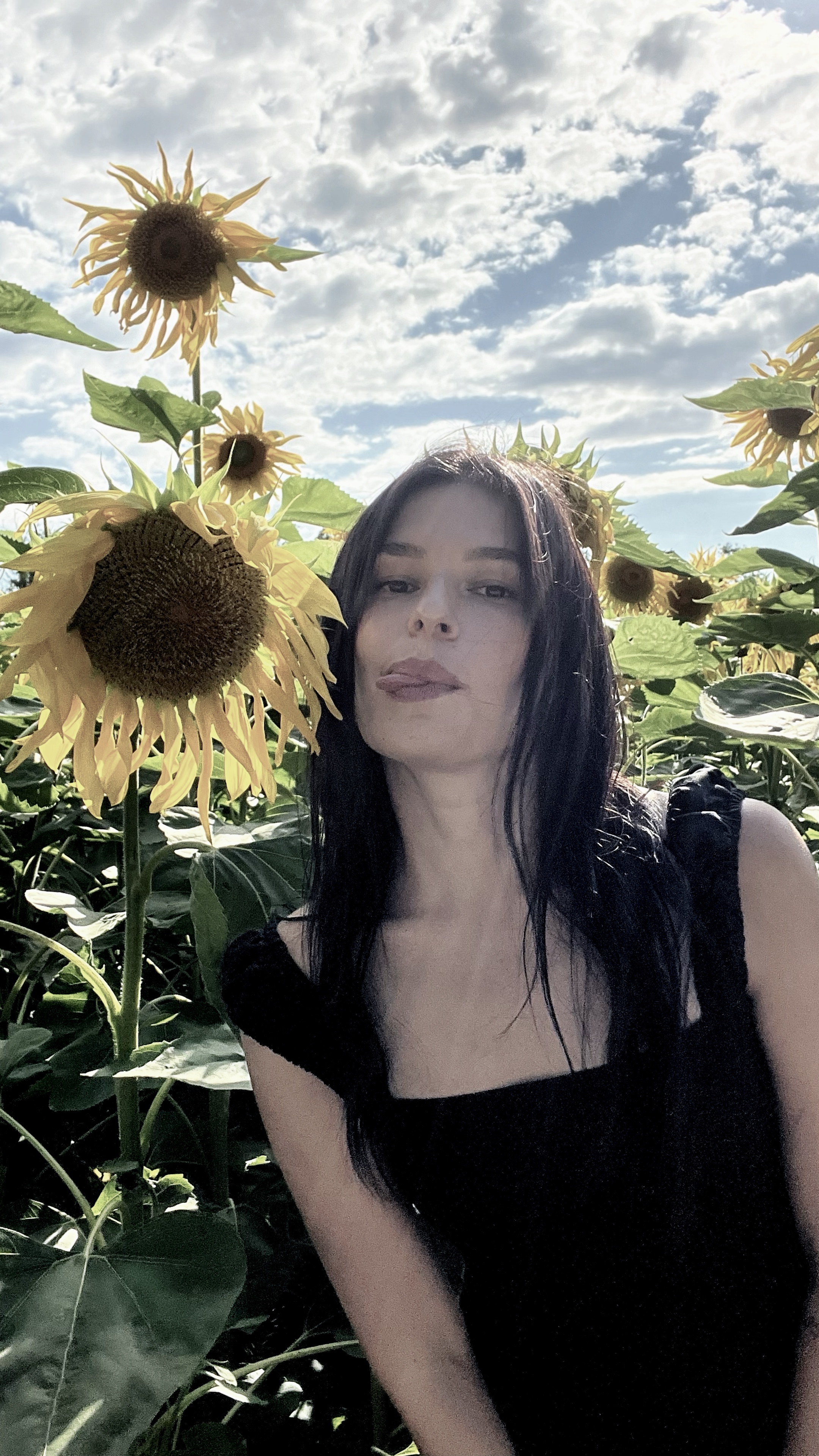 Vidéo + photos = résultat🌻
