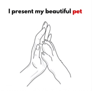 Pet 🐾 