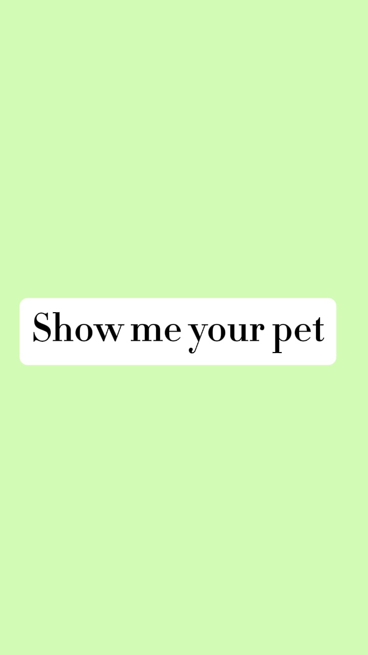 My Pet