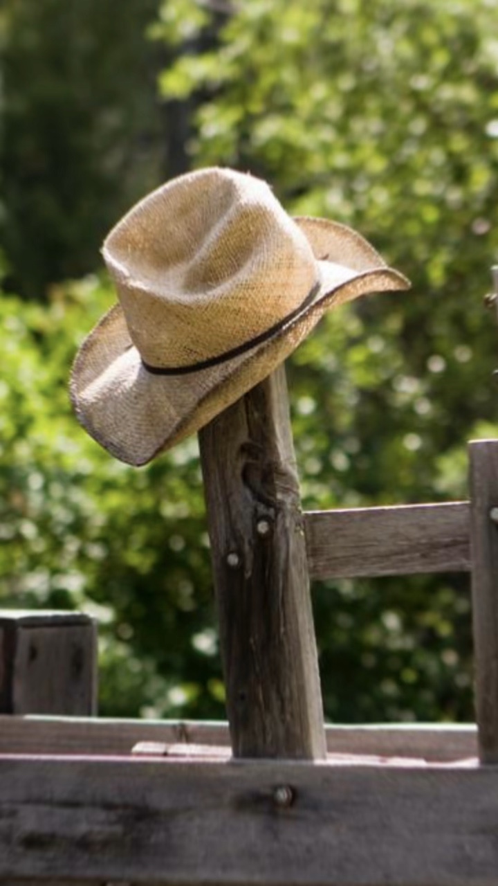 Camino de vaquero