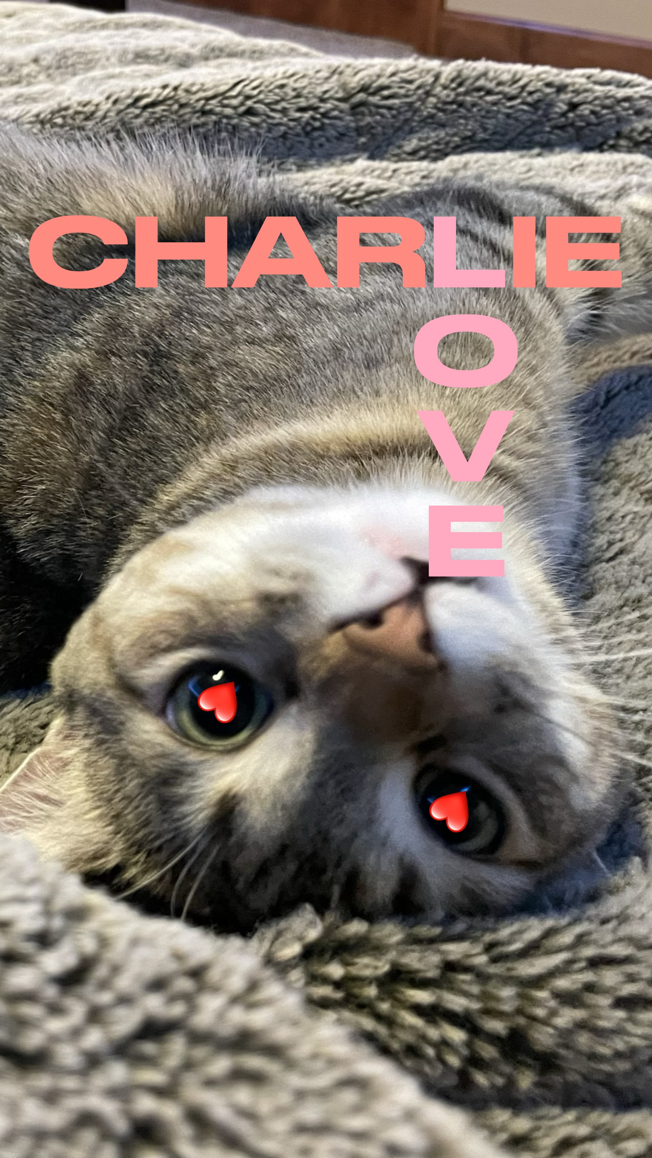 ¿¿Qué es el amor?? ❤️ 