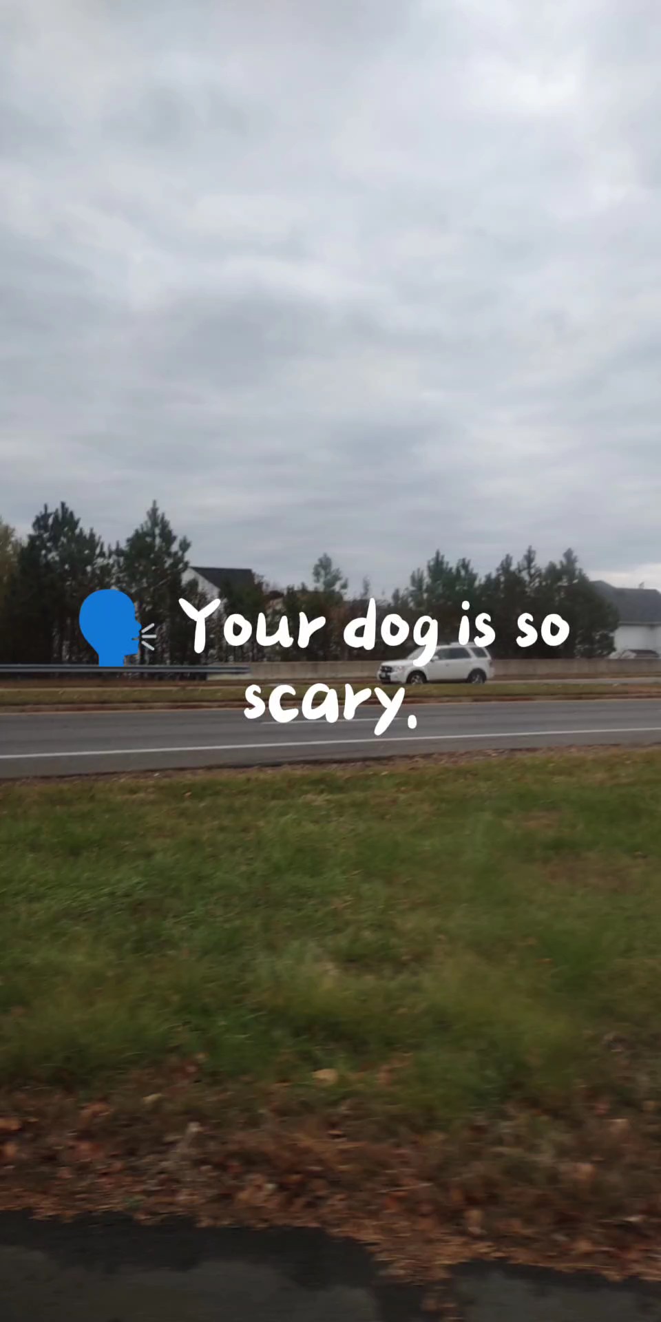 Tu perro da miedo