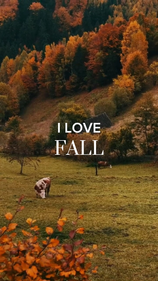Me encanta el otoño.