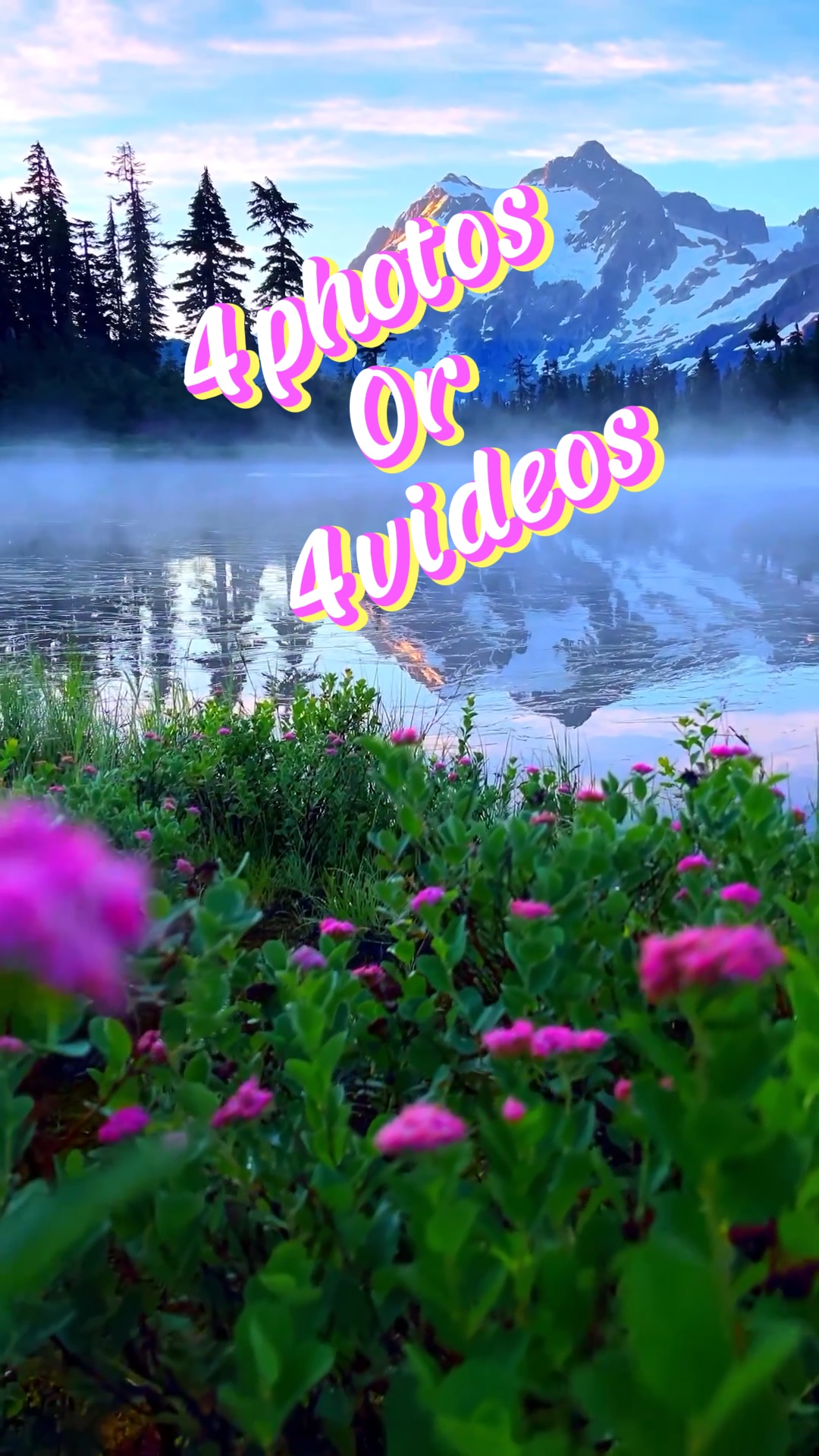 4photos/4videos