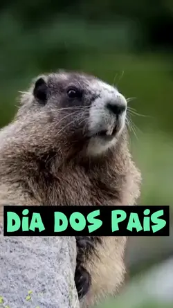 FELIZ DIA DOS PAIS