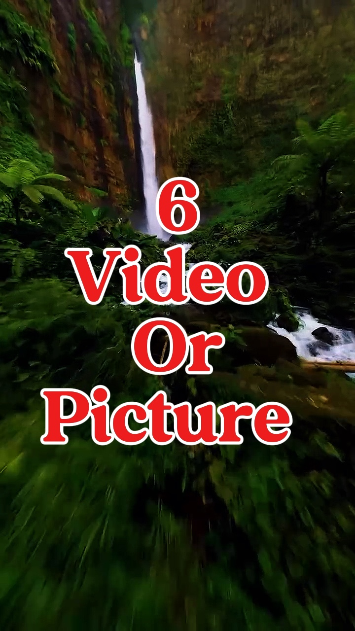 6 video or picture 