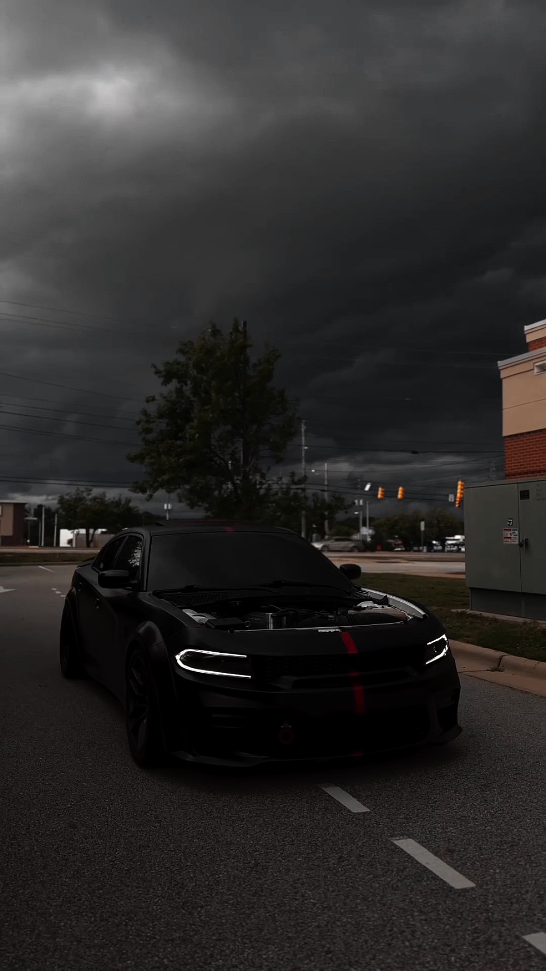 CAR🖤