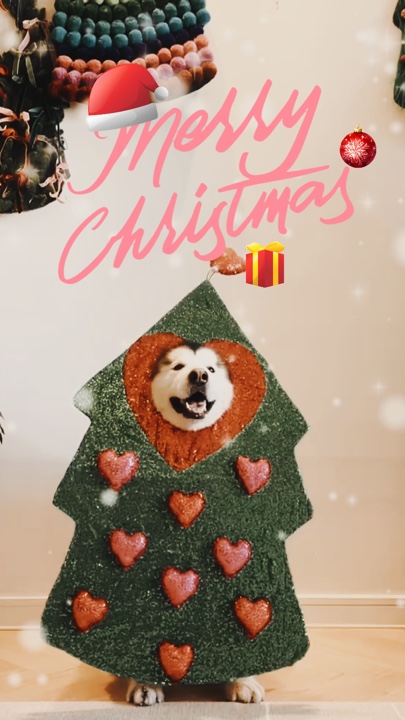 Feliz Navidad 
