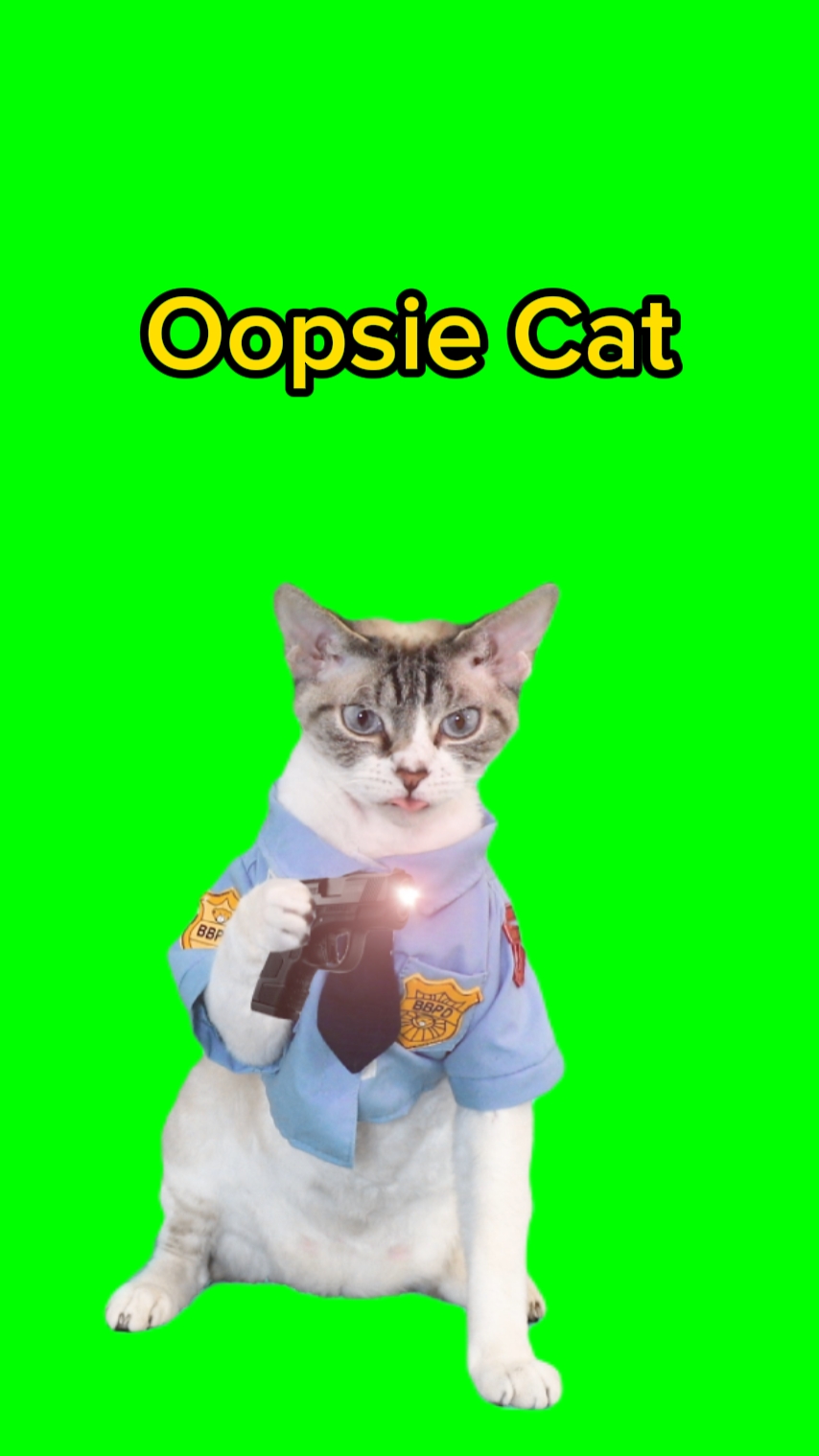 Oopsie Cat Meme